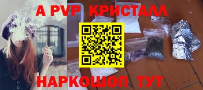 шишки Кингисепп
