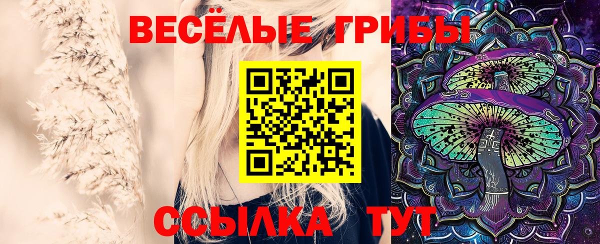где можно купить наркотик  Галлюциногенные грибы MAGIC MUSHROOMS  Вход с VPN  Алапаевск 