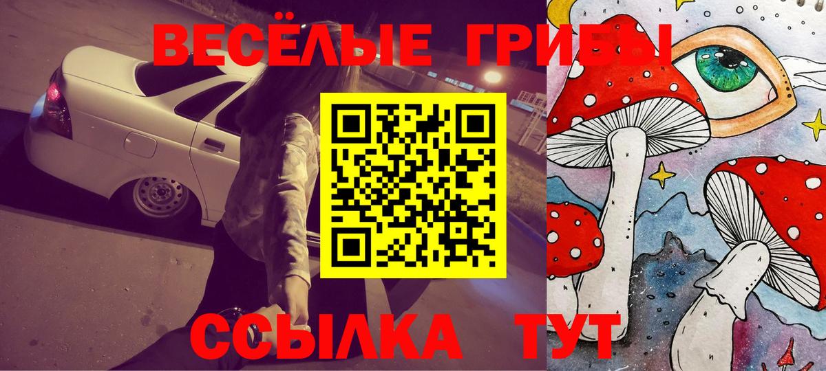 Галлюциногенные грибы Psilocybine cubensis Алапаевск